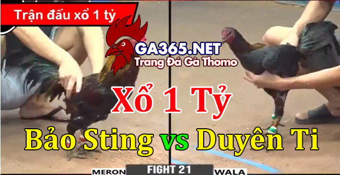 BẢO STING VS DUYÊN TI – XỔ 1 TỶ