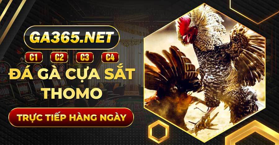 GA365 Đá gà cựa sắt