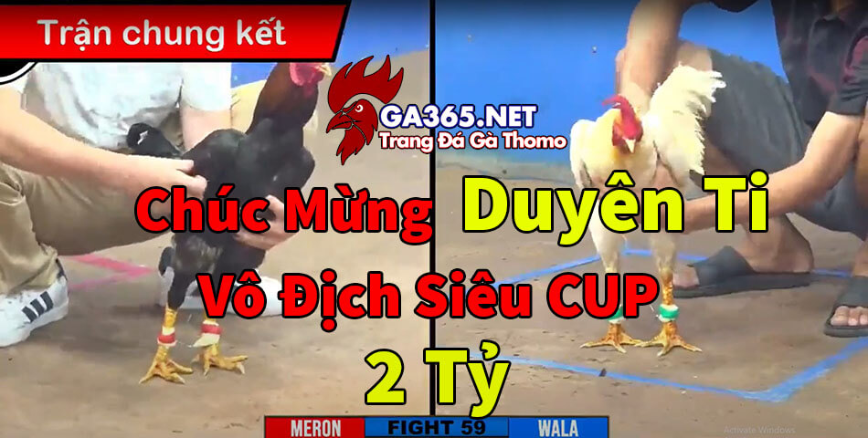 Trận Gà Duyên Ti Ngày Hôm Nay Tại Bồ CPC3