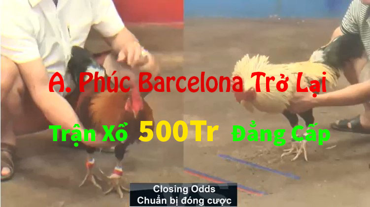 Phúc Barcelona Xổ 500 Triệu