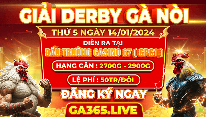 Giải Derby Gà Nòi Tại CPC1 Ngày 14/11/2024