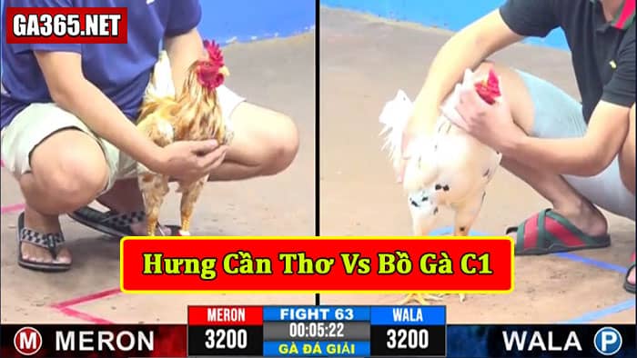 Hưng cần thơ vs bồ gà c1