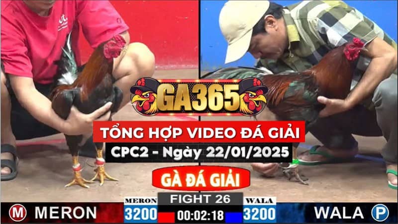 TỔNG HỢP VIDEO ĐÁ GIẢI CPC2 NGÀY 22/01/2025