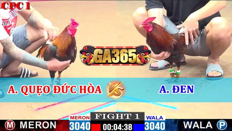 TRẬN 1 CPC1 16/01/2025 ANH QUẸO ĐỨC HÒA VS ANH ĐEN