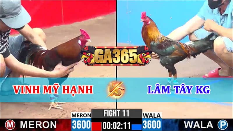 TRẬN 11 CPC3 17/1/2025 VINH MỸ HẠNH VÀ LÂM TÂY KIÊN GIANG