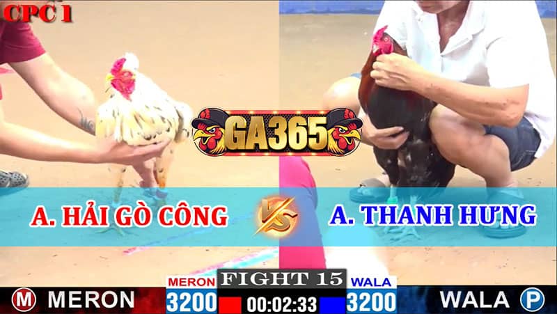 TRẬN 15 CPC1 16/01/2025 ANH HẢI GÒ CÔNG VÀ ANH THANH HƯNG