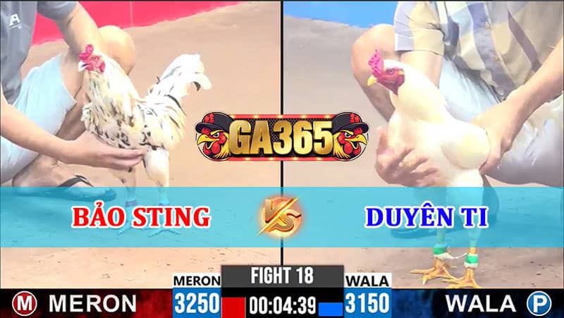 TRẬN 18 CPC3 12/01/2025 ANH BẢO STING VS ANH DUYÊN TI