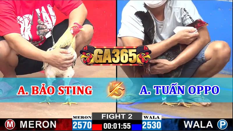 TRẬN 2 CPC2 22/01/2025 ANH BẢO STING VS ANH TUẤN OPPO