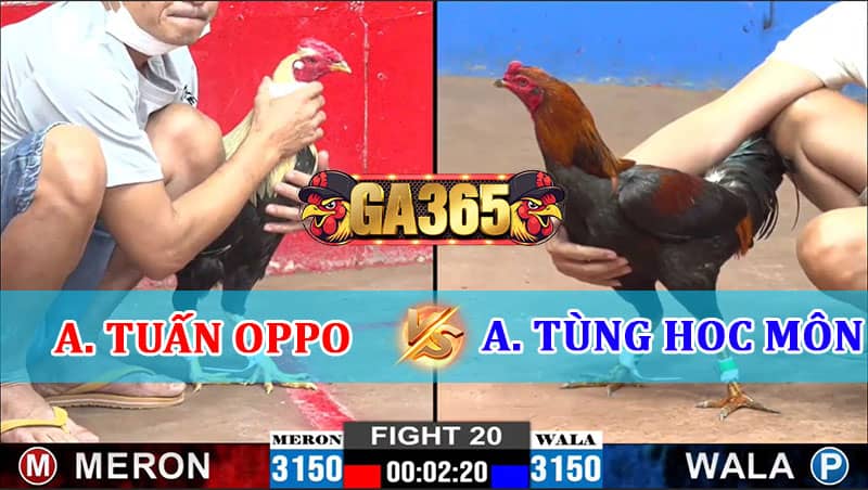 TRẬN 20 CPC2 22/01/2025 ANH TUẤN OPPO VS ANH TÙNG HÓC MÔN