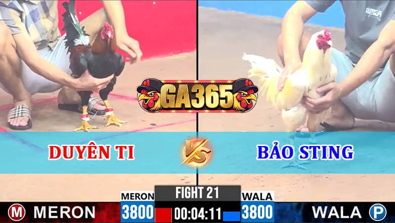 TRẬN 21 CPC3 12/1/2025 DUYÊN TI VS BẢO STING XỔ 500 TRIỆU