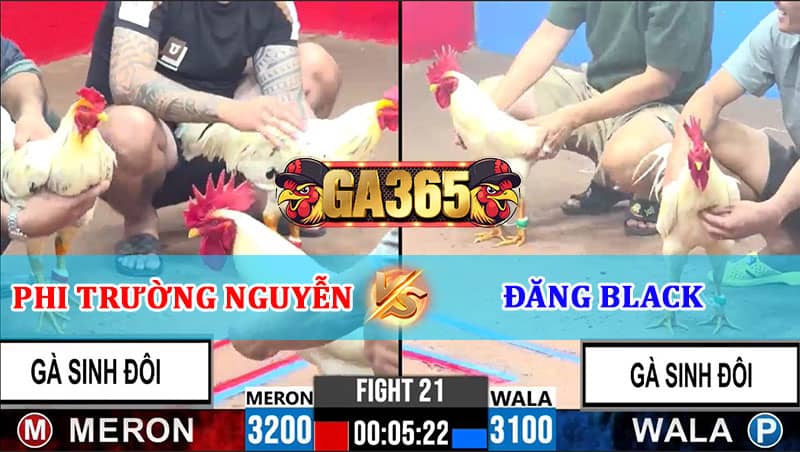 TRẬN 21 CPC3 NGÀY 14/01/2025 TRẬN GÀ 2 VS 2