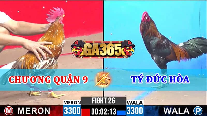 TRẬN 26 CPC3 17/01/2025 CHƯƠNG QUẬN 9 VS TÝ ĐỨC HÒA