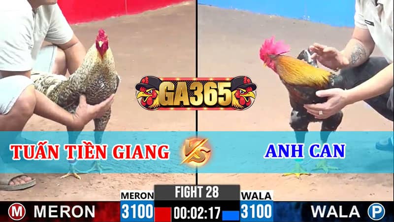 TRẬN 28 CPC3 17/01/2025 ANH TUẤN TIỀN GIANG VS ANH CAN