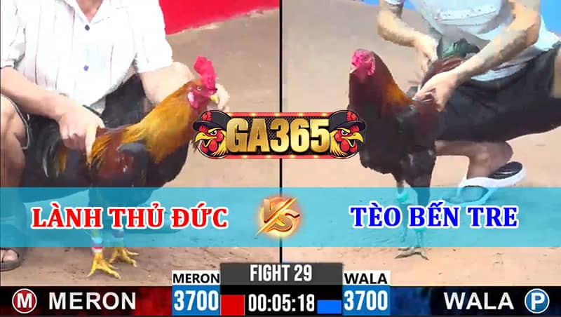 TRẬN 29 CPC3 17/01/2025 LÀNH THỦ ĐỨC VS TÈO BẾN TRE