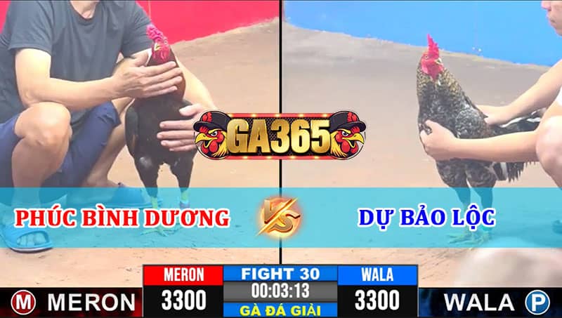 TRẬN 30 CPC3 12/01/2025 A PHÚC BÌNH DƯƠNG VS A DỰ BẢO LỘC