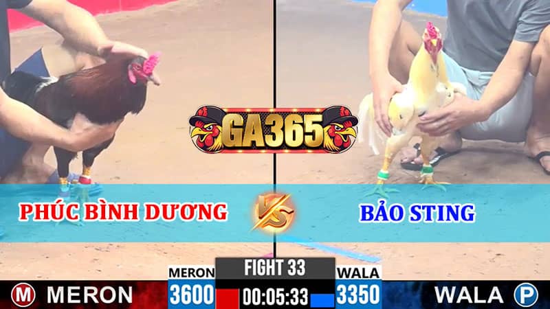 TRẬN 33 CPC3 12/01/2025 A PHÚC BÌNH DƯƠNG VS A BẢO STING