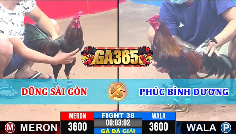 TRẬN 38 CPC3 12/01/2025 DŨNG SÀI GÒN VS PHÚC BÌNH DƯƠNG