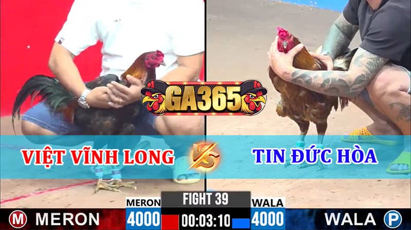 TRẬN 39 CPC3 17/01/2025 VIỆT VĨNH LONG VS TIN ĐỨC HÒA