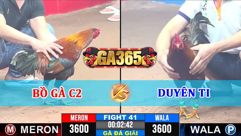 TRẬN 41 CPC3 12/01/2025 BỒ GÀ C2 VS DUYÊN TI