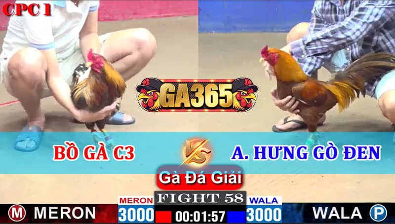 TRẬN 58 CPC1 16/01/2025 BỒ GÀ C3 VS ANH HƯNG GÒ ĐEN