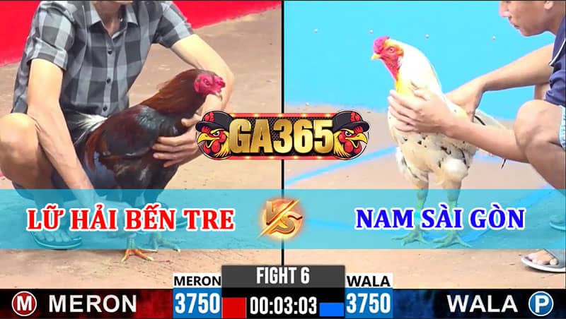 TRẬN 6 CPC3 17/01/2025 LỮ HẢI BẾN TRE VÀ NAM SÀI GÒN