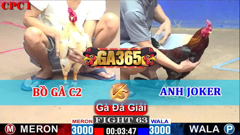 TRẬN 63 CPC1 16/01/2025 BỒ GÀ C2 VS ANH JOKER