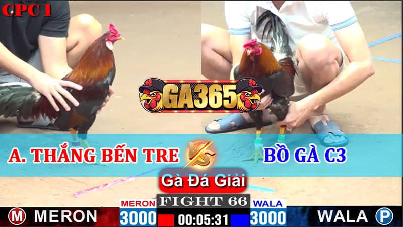 TRẬN 66 CPC1 16/01/2025 ANH THẮNG BẾN TRE VS BỒ GÀ C3