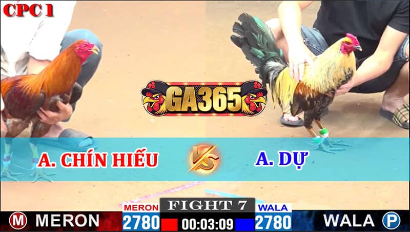 TRẬN 7 CPC1 16/01/2025 ANH CHÍN HIẾU VS ANH DỰ BẢO LỘC
