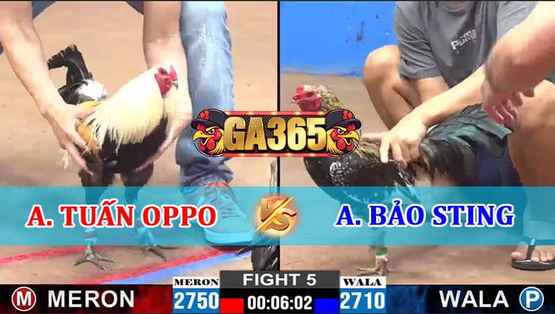 TUẤN OPPO VS BẢO STING