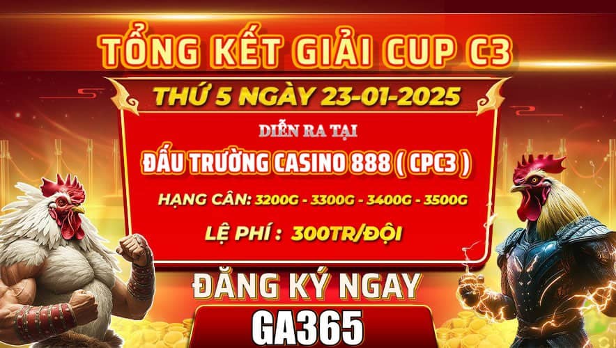Tổng Kết Giải Đấu Gà Tự Do Cup C3