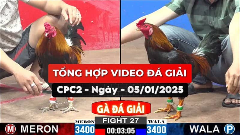 Video Đá Giải CPC2 Ngày 05/01/2025