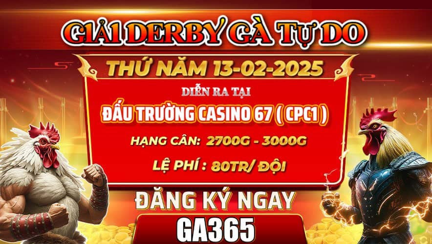 GIẢI ĐẤU DERBY GÀ NÒI TỰ DO TẠI CPC1 NGÀY 13/02/2025