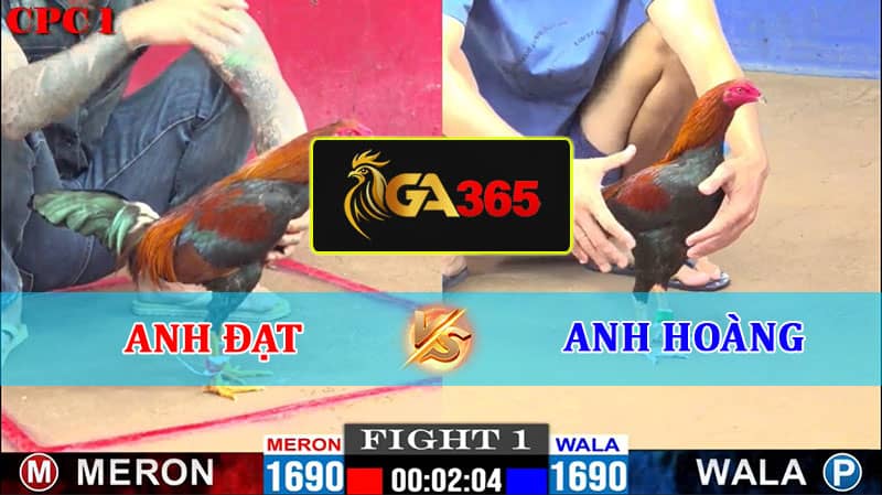 TRẬN 1 CPC1 10/02/2025 ANH ĐẠT VỚI ANH HOÀNG