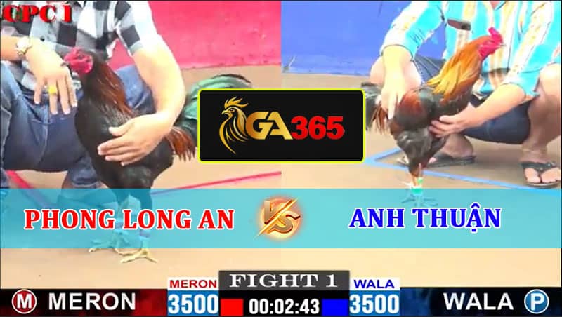 TRẬN 1 CPC1 11/2/2025 PHONG LONG AN VS ANH THUẬN