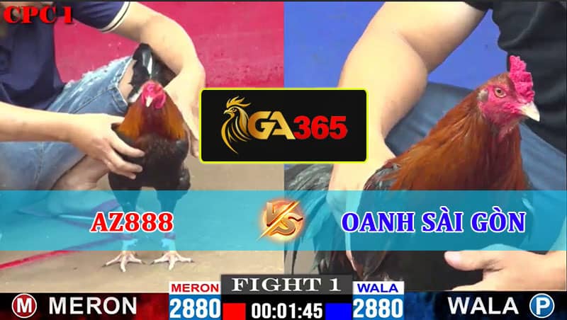 TRẬN 1 CPC1 13-02-2025 AZ888 VS OANH SÀI GÒN - GA365