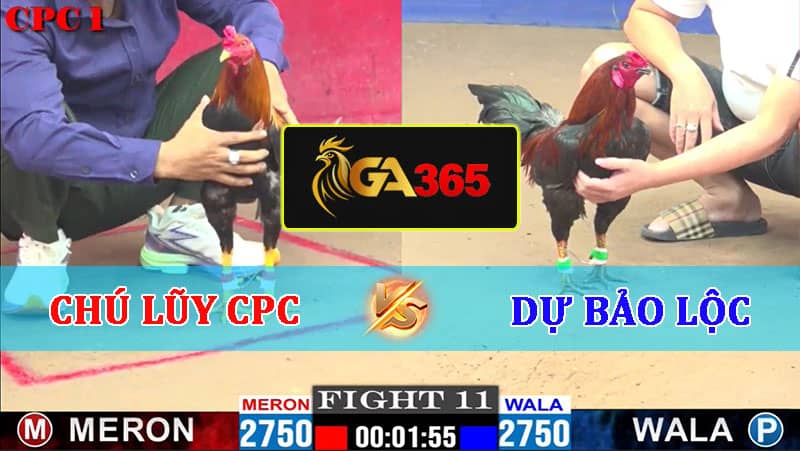 TRẬN 11 CPC1 22/02/2025 CHÚ LŨY CAMPUCHIA VS DỰ BẢO LỘC