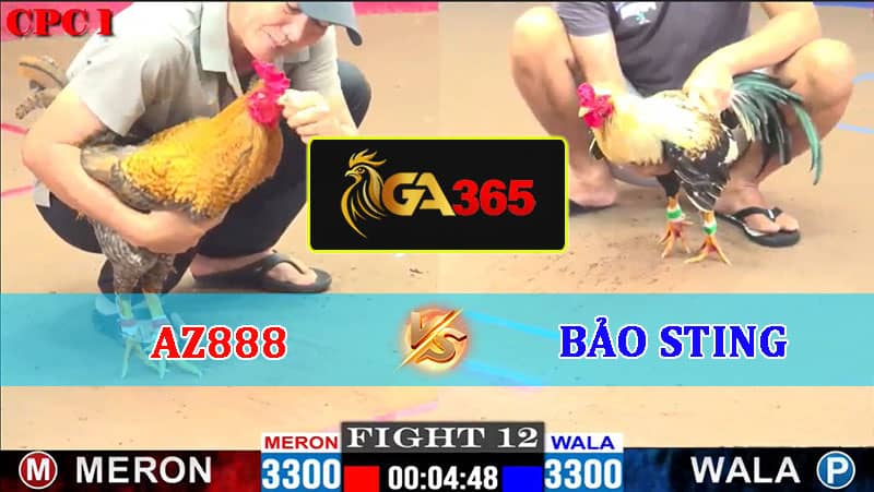 TRẬN 12 CPC1 22/02/2025 AZ888 VS BẢO STING