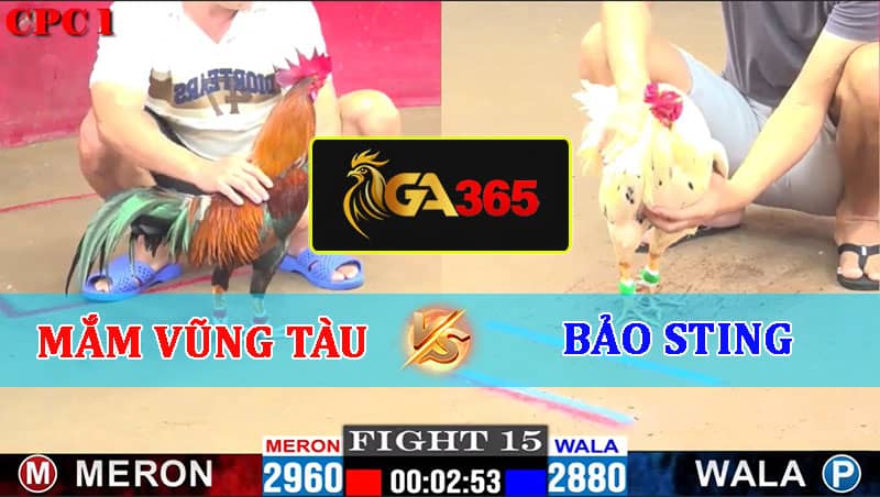 TRẬN 15 CPC1 22/02/2025 MẮM VŨNG TÀU VS BẢO STING