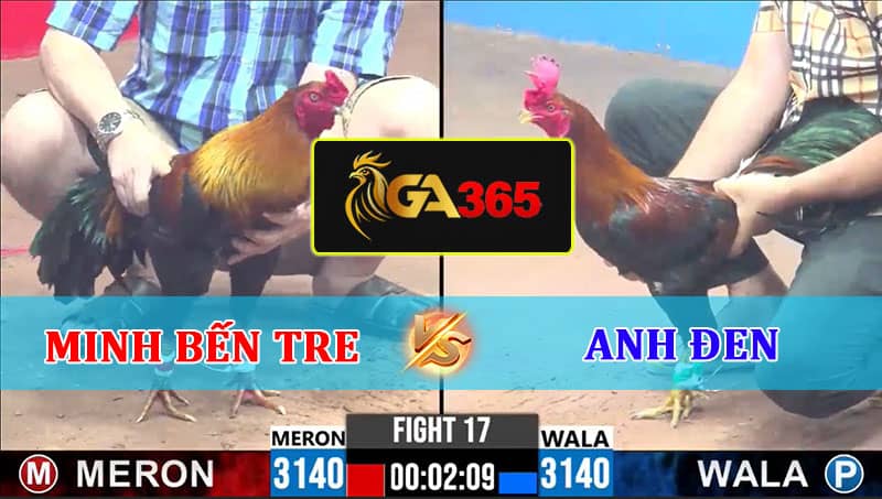 TRẬN 17 CPC3 26/02/2025 MINH BẾN TRE VS ANH ĐEN