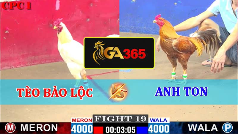 TRẬN 19 CPC1 22/02/2025 TÈO BẢO LỘC VS ANH TON