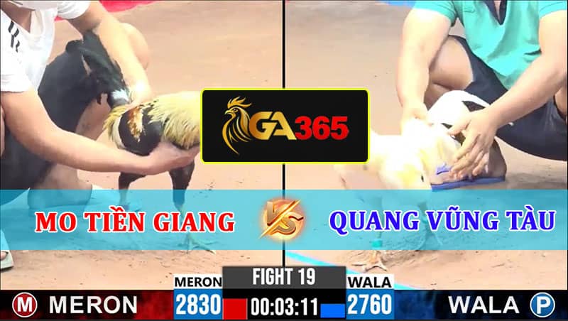 TRẬN 19 CPC3 10/2/2025 MO TIỀN GIANG VS QUANG VŨNG TÀU