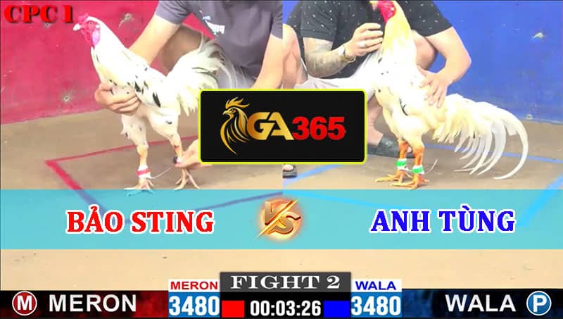 TRẬN 2 CPC1 22-02-2025 BẢO STING VS ANH TÙNG - GA365