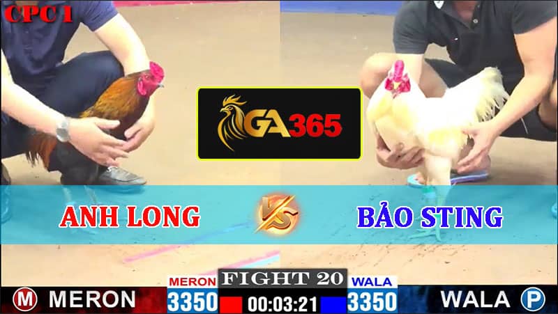 TRẬN 20 CPC1 22/02/2025 ANH LONG VS BẢO STING