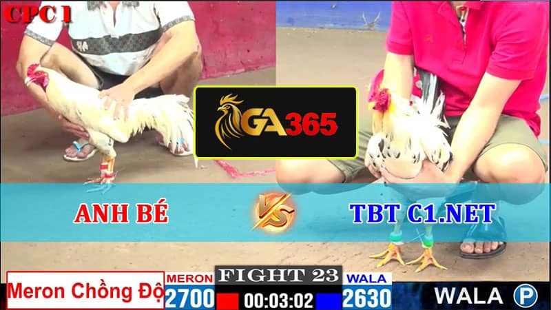 TRẬN 23 CPC1 13-02-2025 ANH BÉ VS TBT C1.NET - GA365