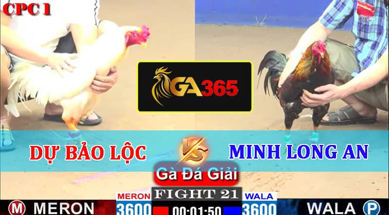 TRẬN 23 CPC1 22/02/2025 TUẤN CU VS BỒ GÀ C2 A