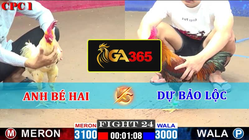 TRẬN 24 CPC1 13-02-2025 ANH BÉ HAI VS DỰ BẢO LỘC - GA365