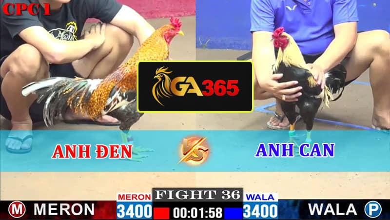 TRẬN 36 CPC1 11/2/2025 ANH ĐEN VS ANH CAN - GA365