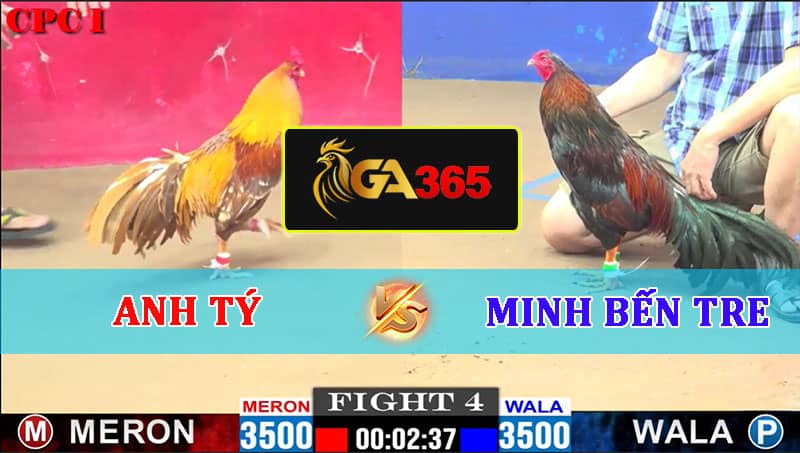 TRẬN 4 CPC1 22/02/2025 ANH TÝ VS MINH BẾN TRE - GA365