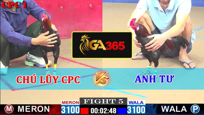 TRẬN 5 CPC1 22/02/2025 CHÚ LŨY CAMPUCHIA VS ANH TƯ - GA365