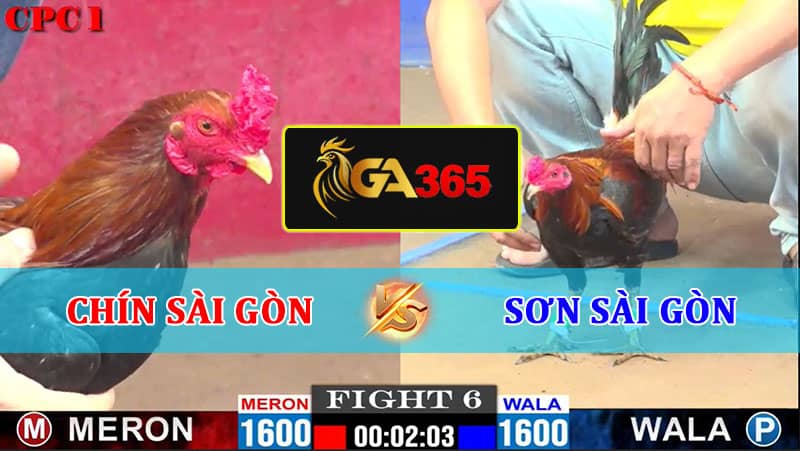 TRẬN 6 CPC1 10/2/2025 CHÍN SÀI GÒN VS SƠN SÀI GÒN
